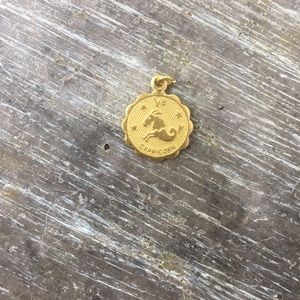 Capricorn horoscope charm